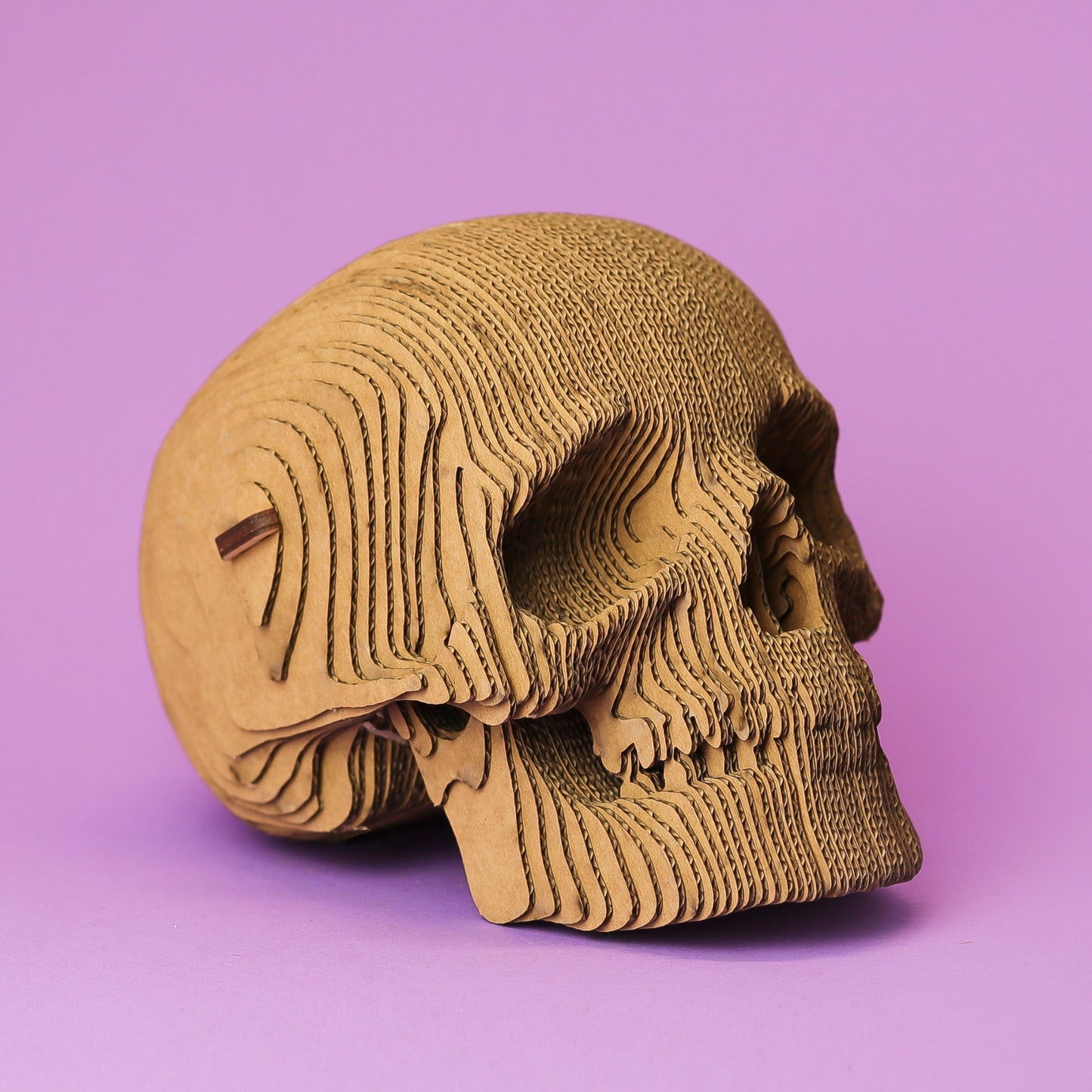 SKULL Cartonic 3D Puzzle