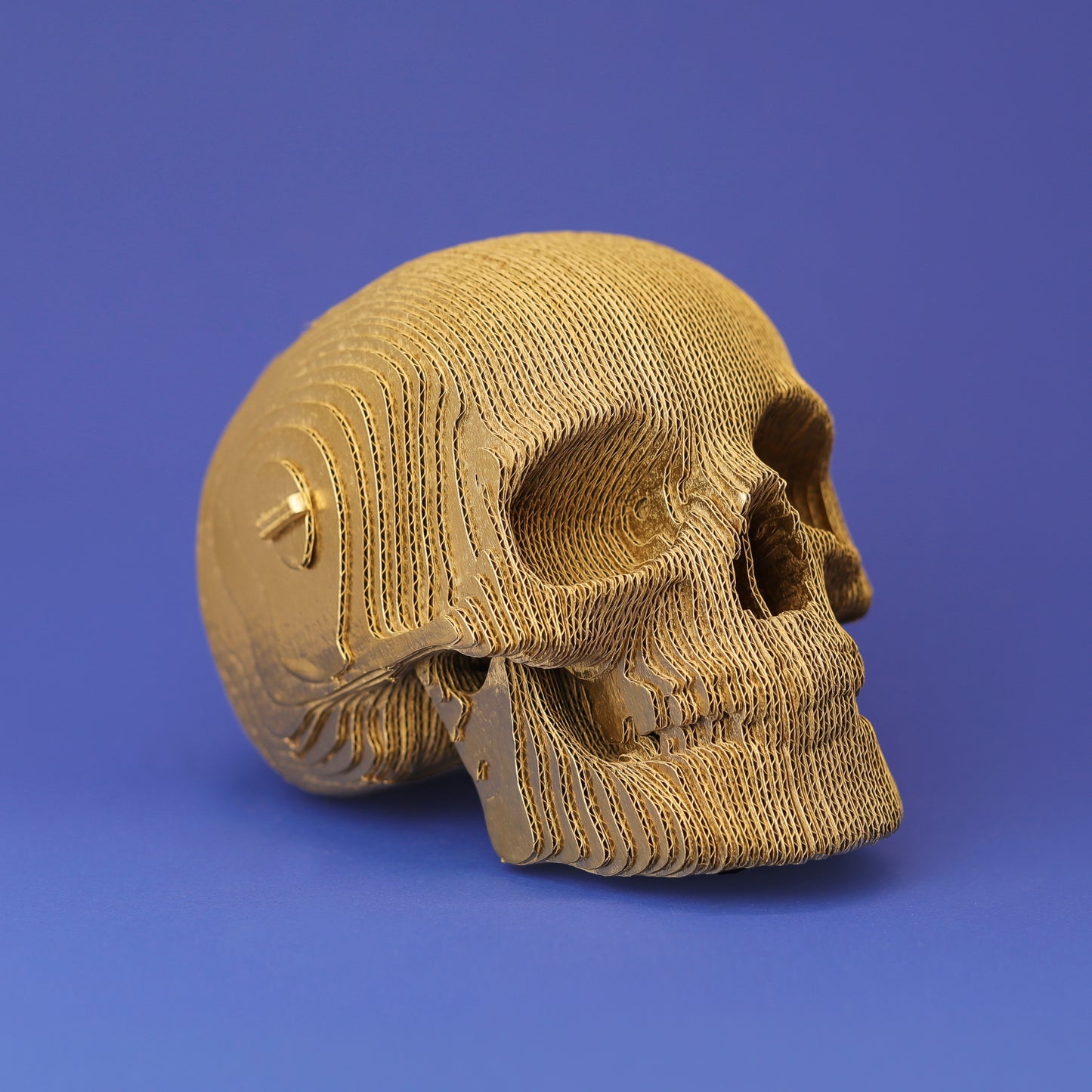 SKULL Cartonic 3D Puzzle