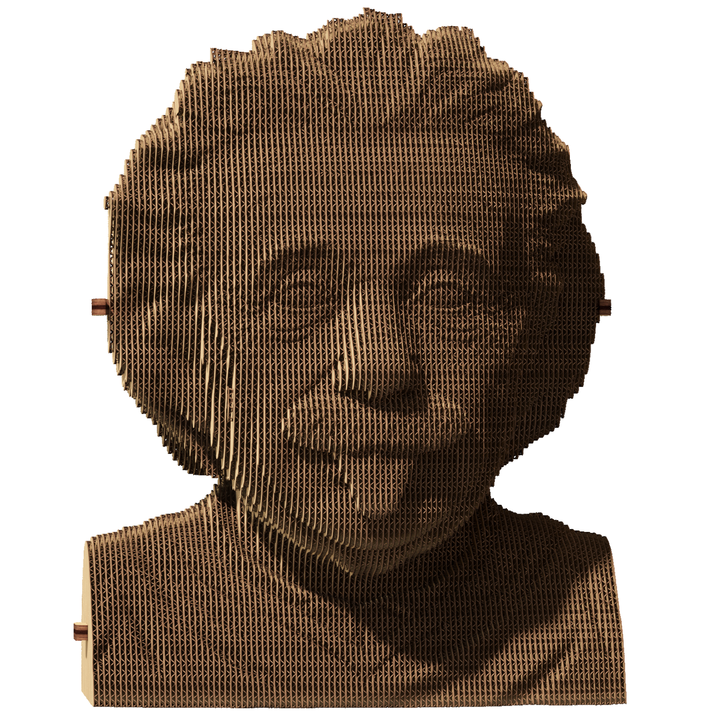 ALBERT EINSTEIN Cartonic 3D Puzzle