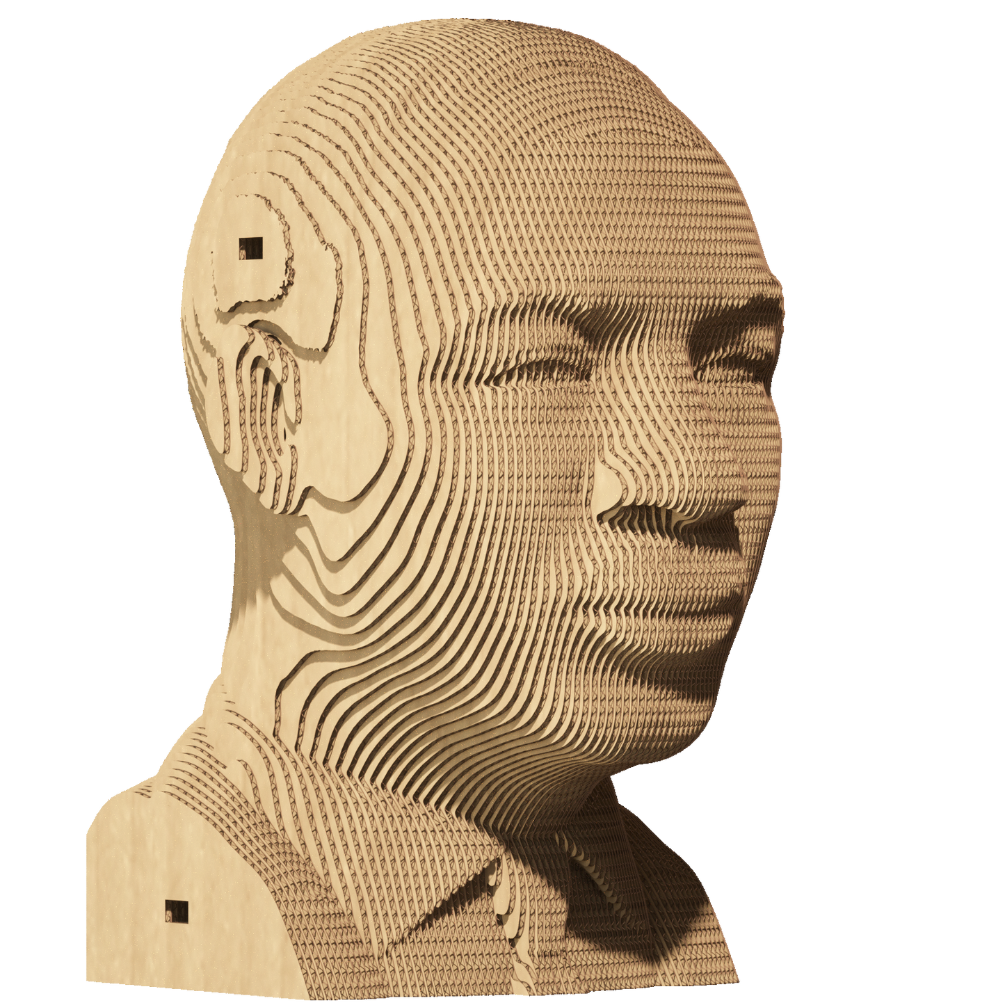 MARTIN LUTHER KING Jr. Cartonic 3D Puzzle