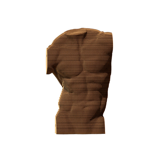 MALE TORSO Cartonic 3D Puzzle