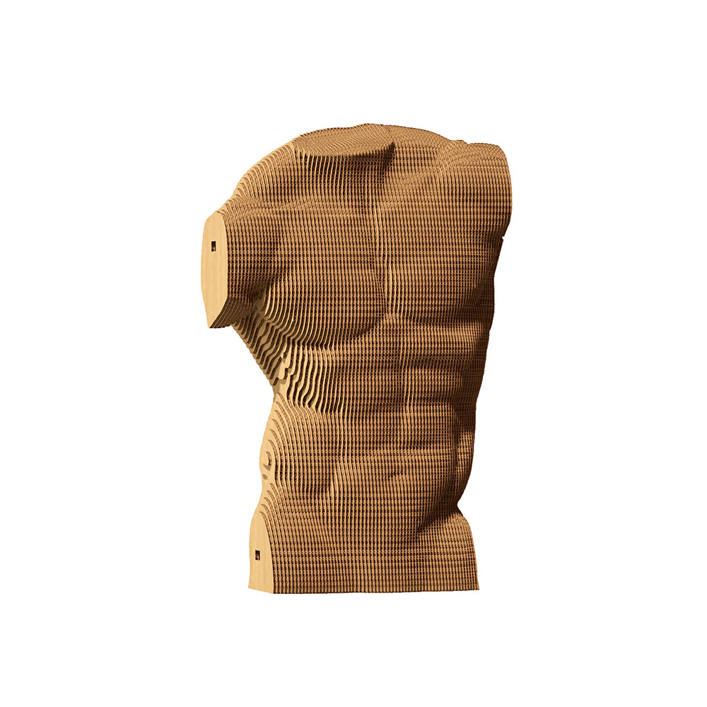 MALE TORSO Cartonic 3D Puzzle