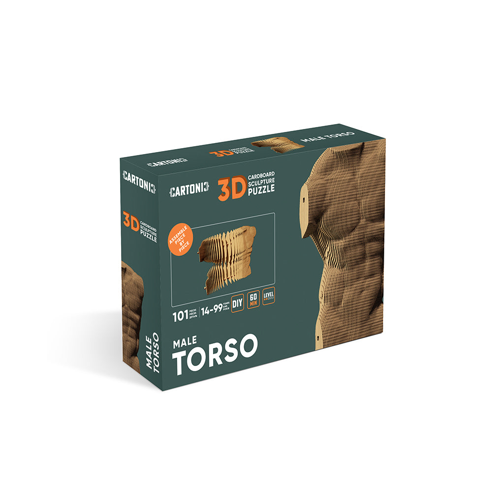 MALE TORSO Cartonic 3D Puzzle