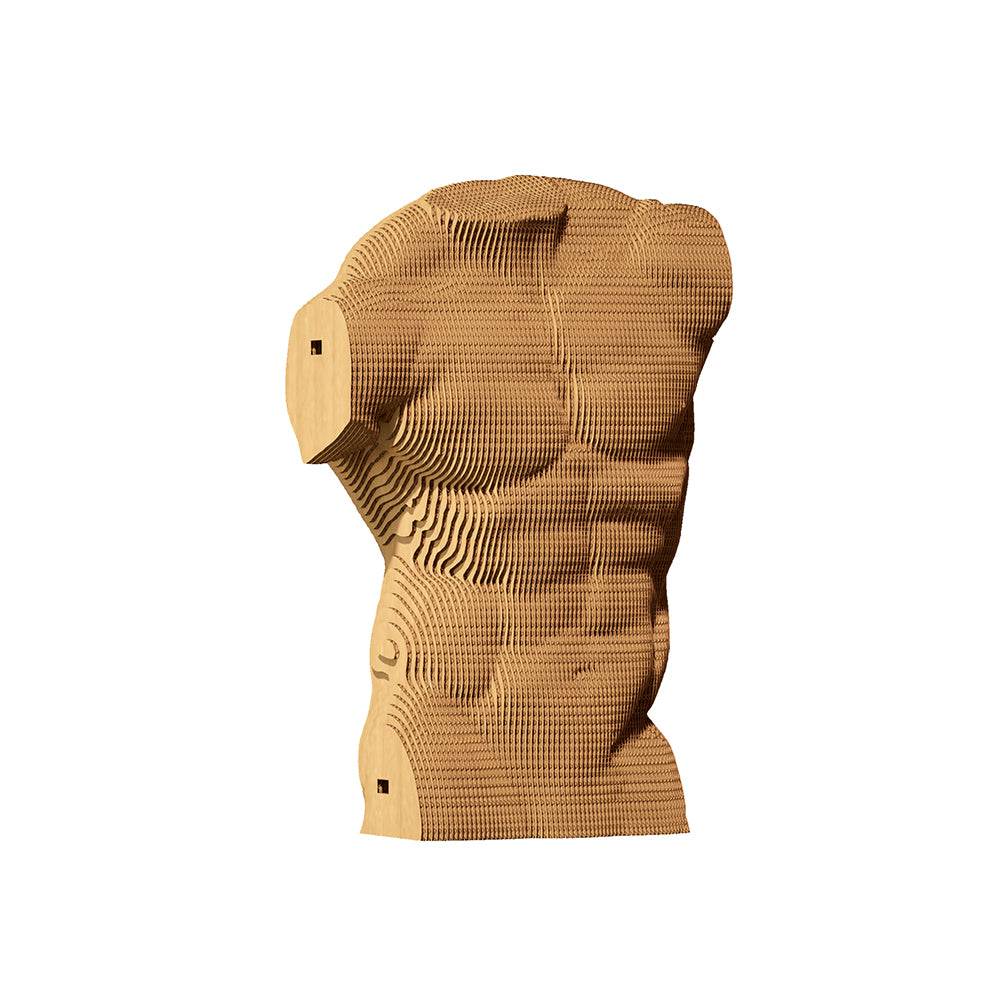 MALE TORSO Cartonic 3D Puzzle