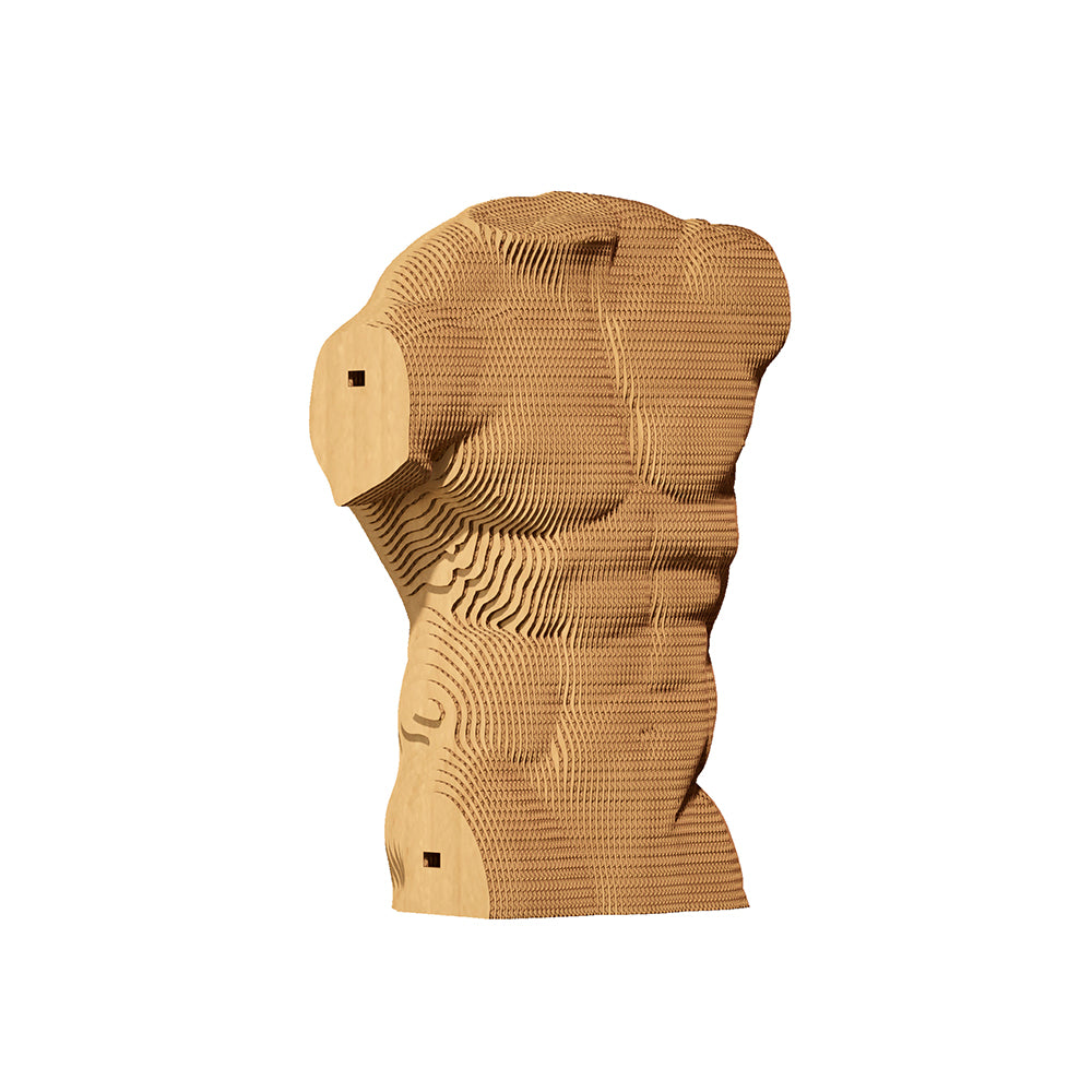 MALE TORSO Cartonic 3D Puzzle