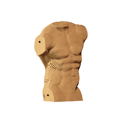 MALE TORSO Cartonic 3D Puzzle