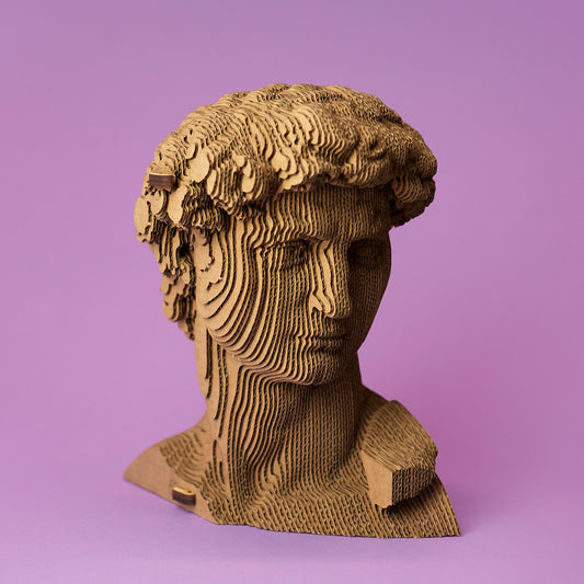 DAVID Cartonic 3D Puzzle