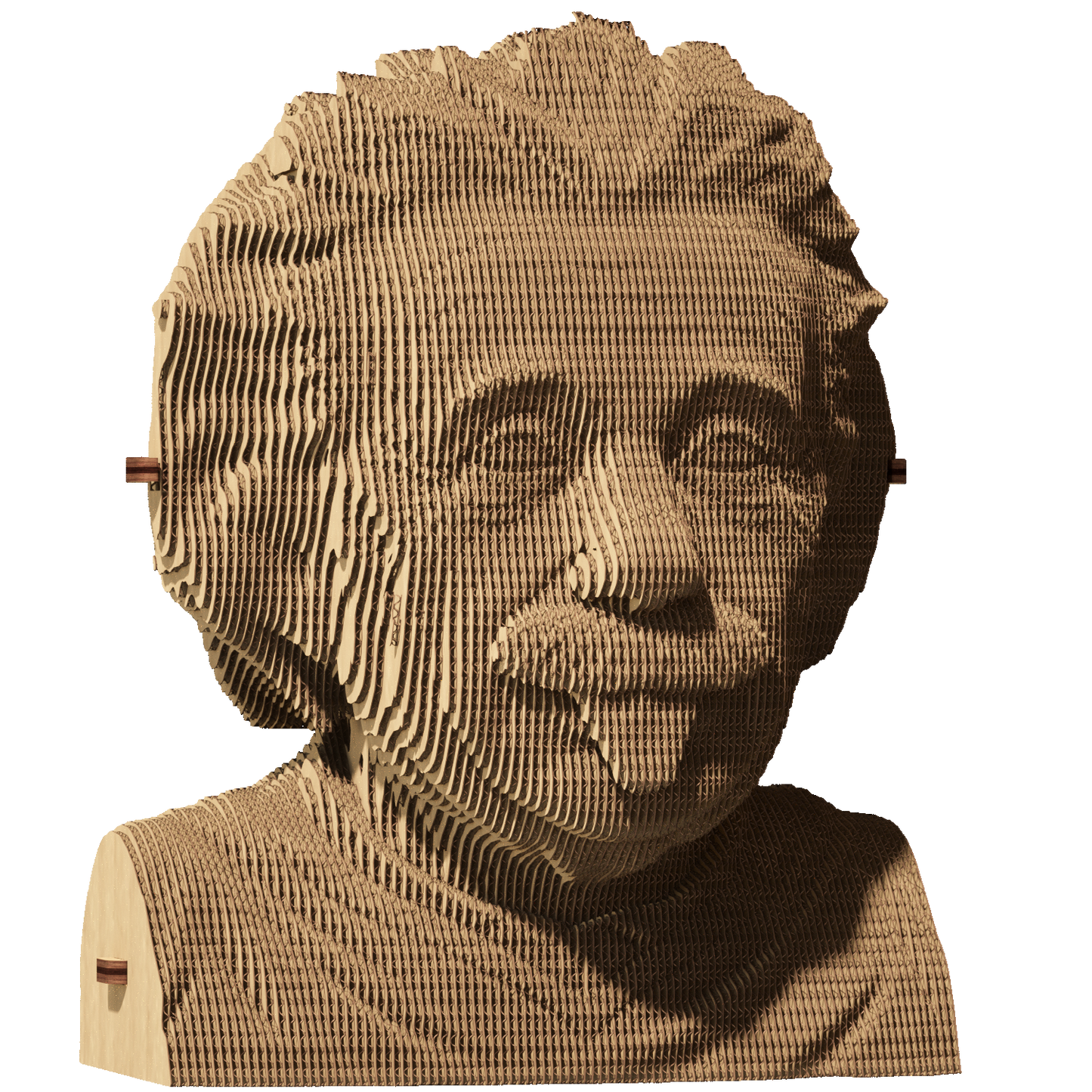 ALBERT EINSTEIN Cartonic 3D Puzzle