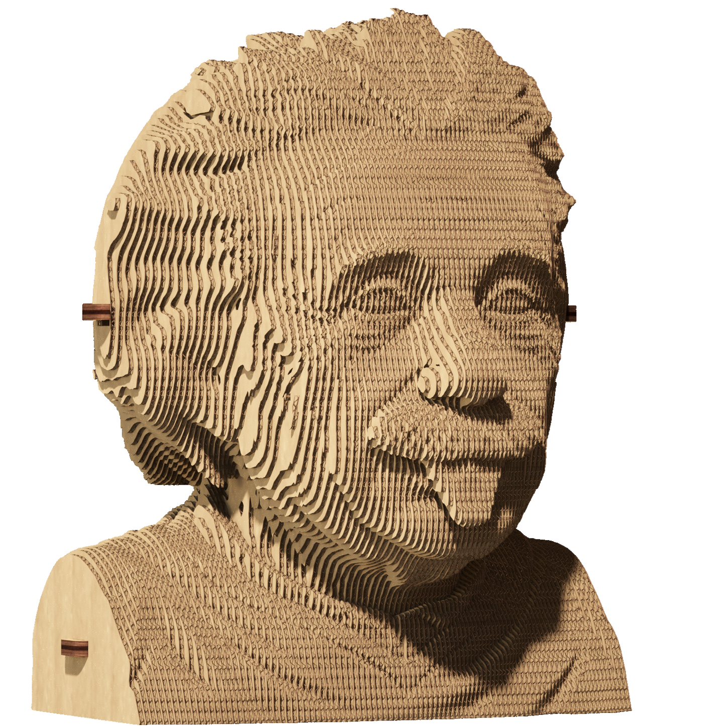 ALBERT EINSTEIN Cartonic 3D Puzzle