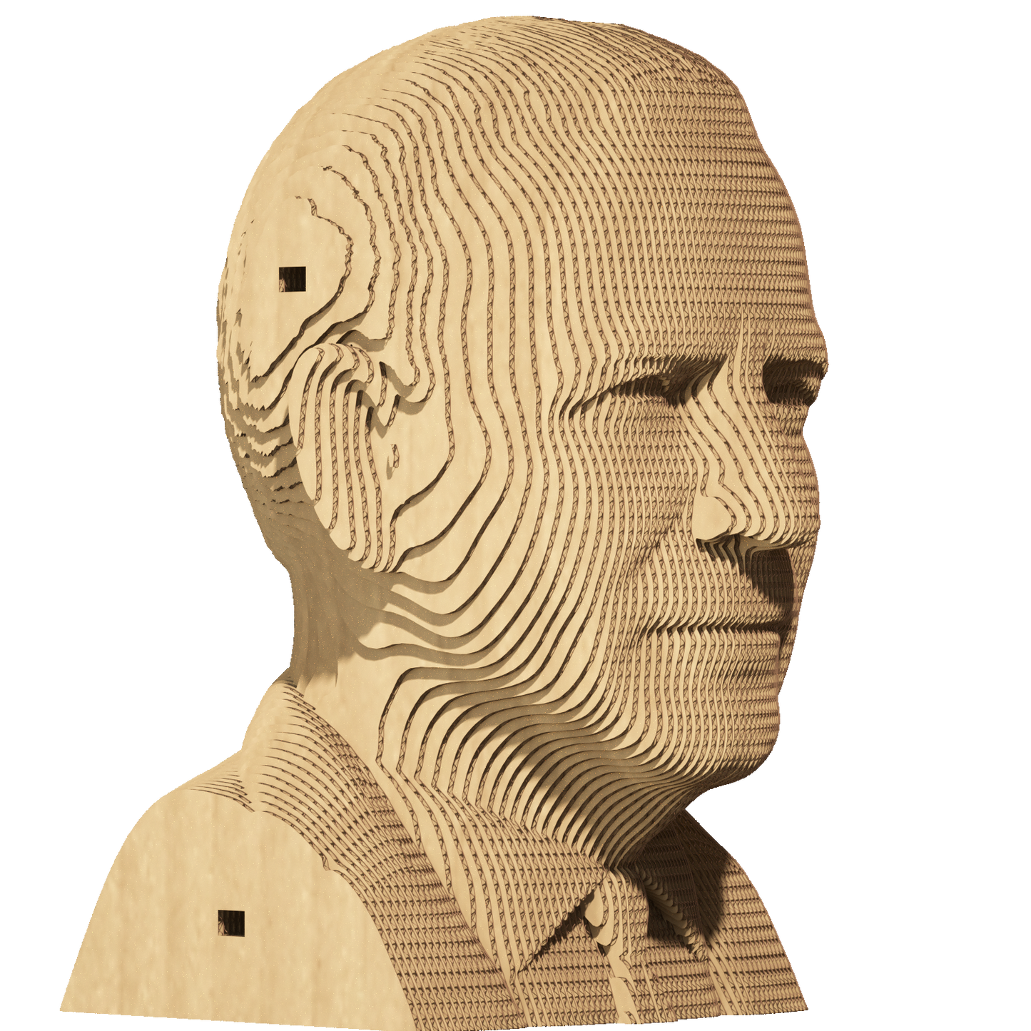 JOE BIDEN Cartonic 3D Puzzle