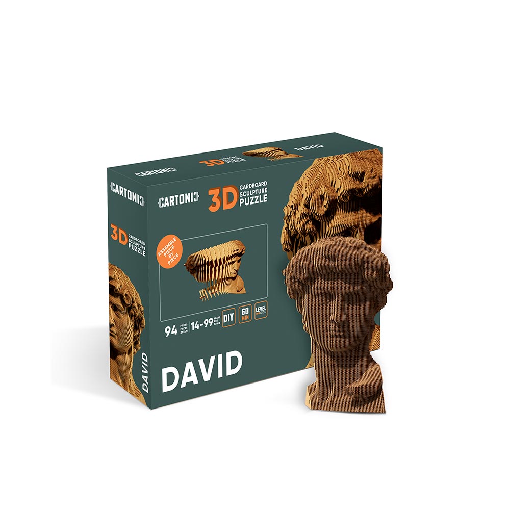 DAVID Cartonic 3D Puzzle
