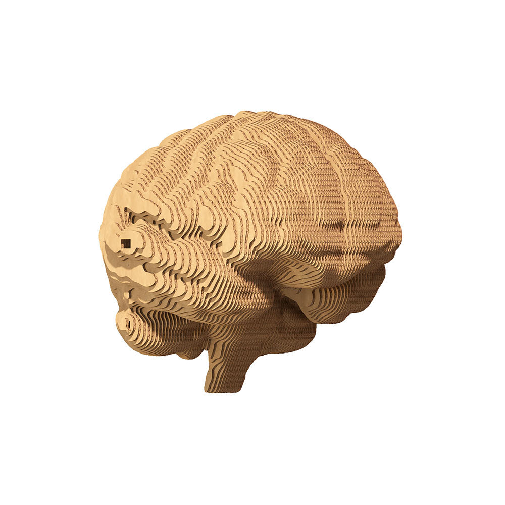 BRAIN Cartonic 3D Puzzle