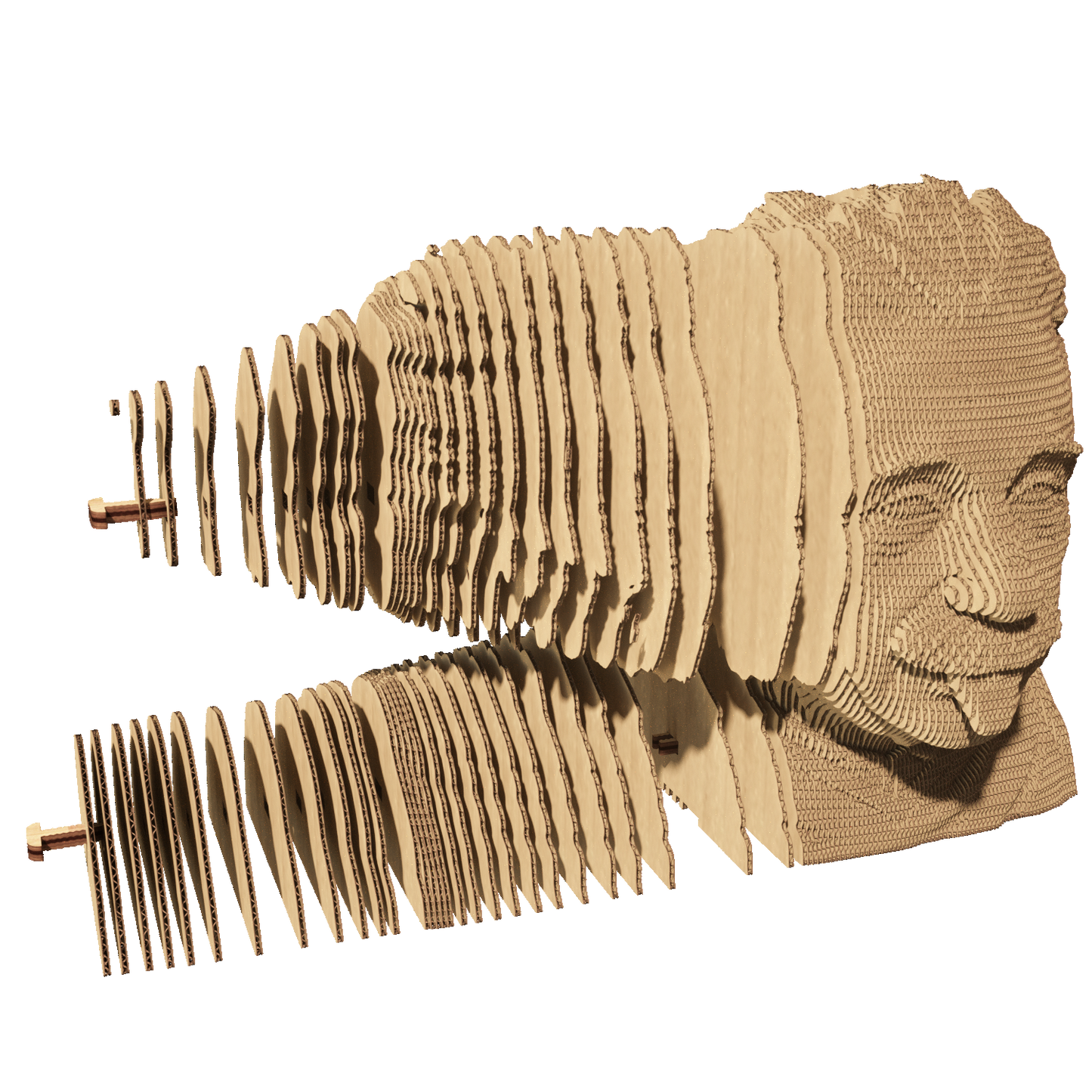 ALBERT EINSTEIN Cartonic 3D Puzzle